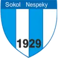 TJ Sokol Nespeky B