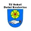 TJ Sokol Dolní Kralovice
