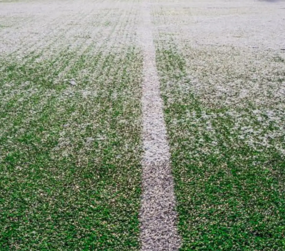 Plán zimní přípravy