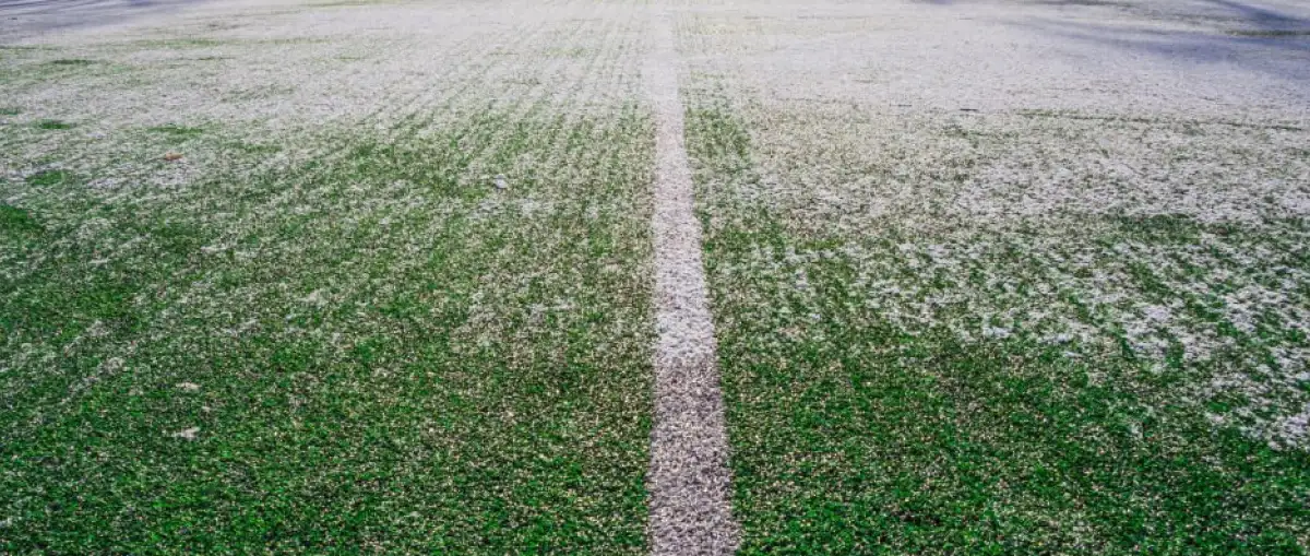 Plán zimní přípravy