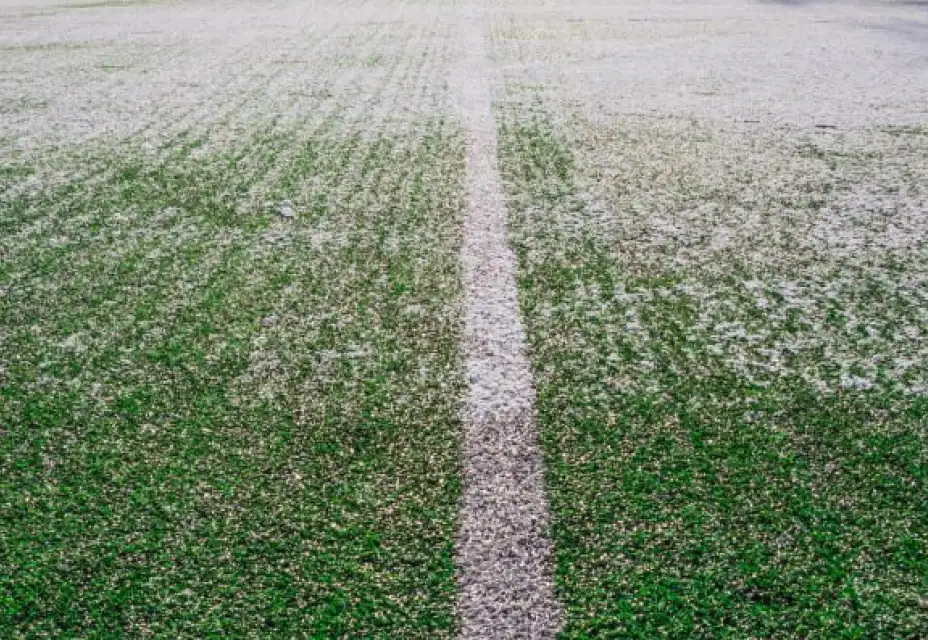 Plán zimní přípravy