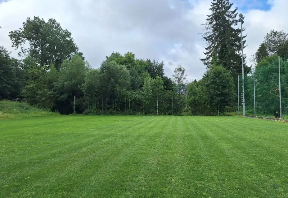 Sherlog Arena - aktuálně